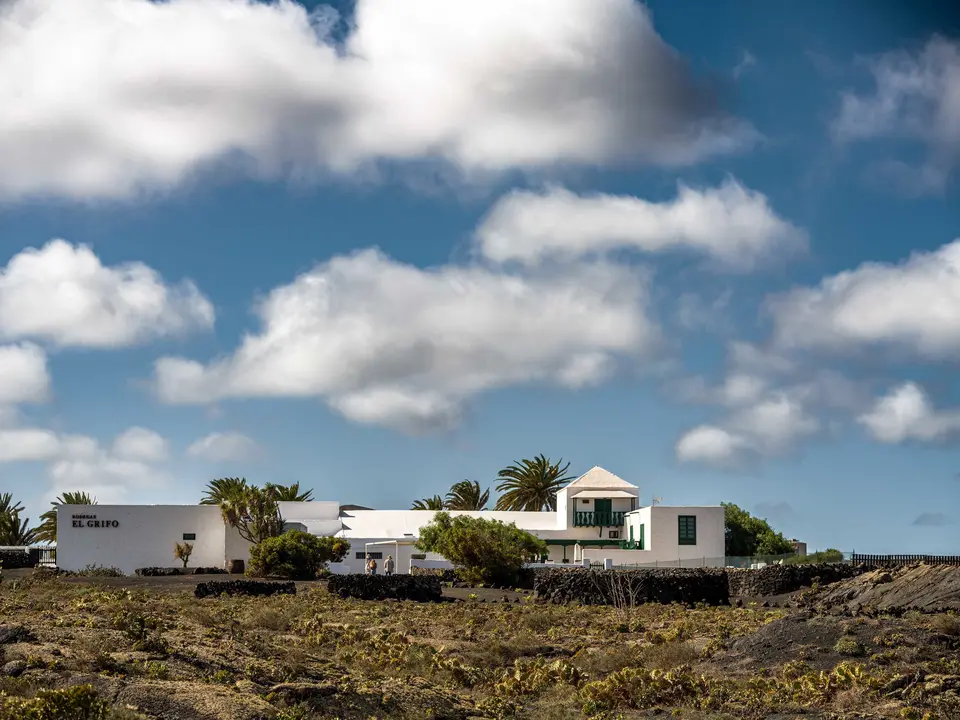 Bodegas el Grifo.