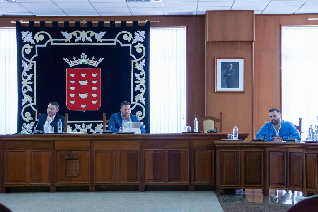 Pleno Cabildo de Lanzarote.