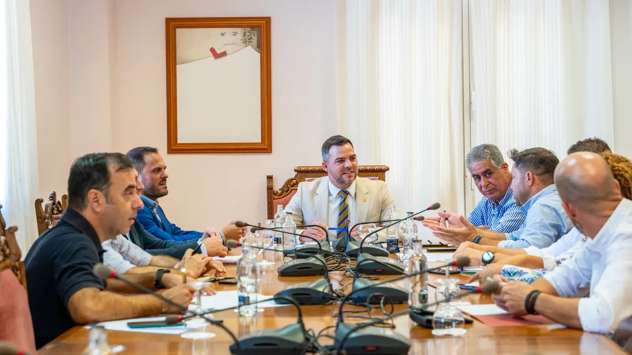 Mesa insular de Obras Públicas.