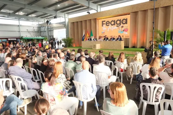 Feaga 2024.
