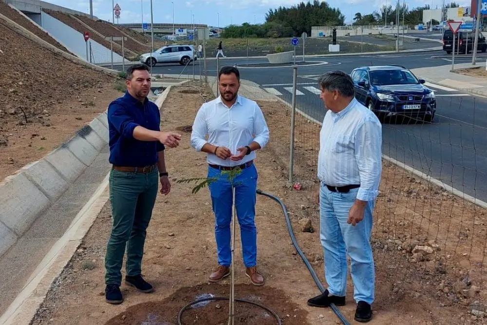 Zona de la plantación