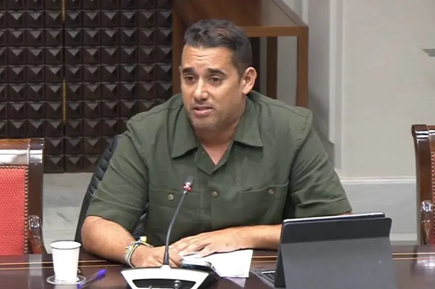 Yoné Caraballo en la comisión de Sanidad.