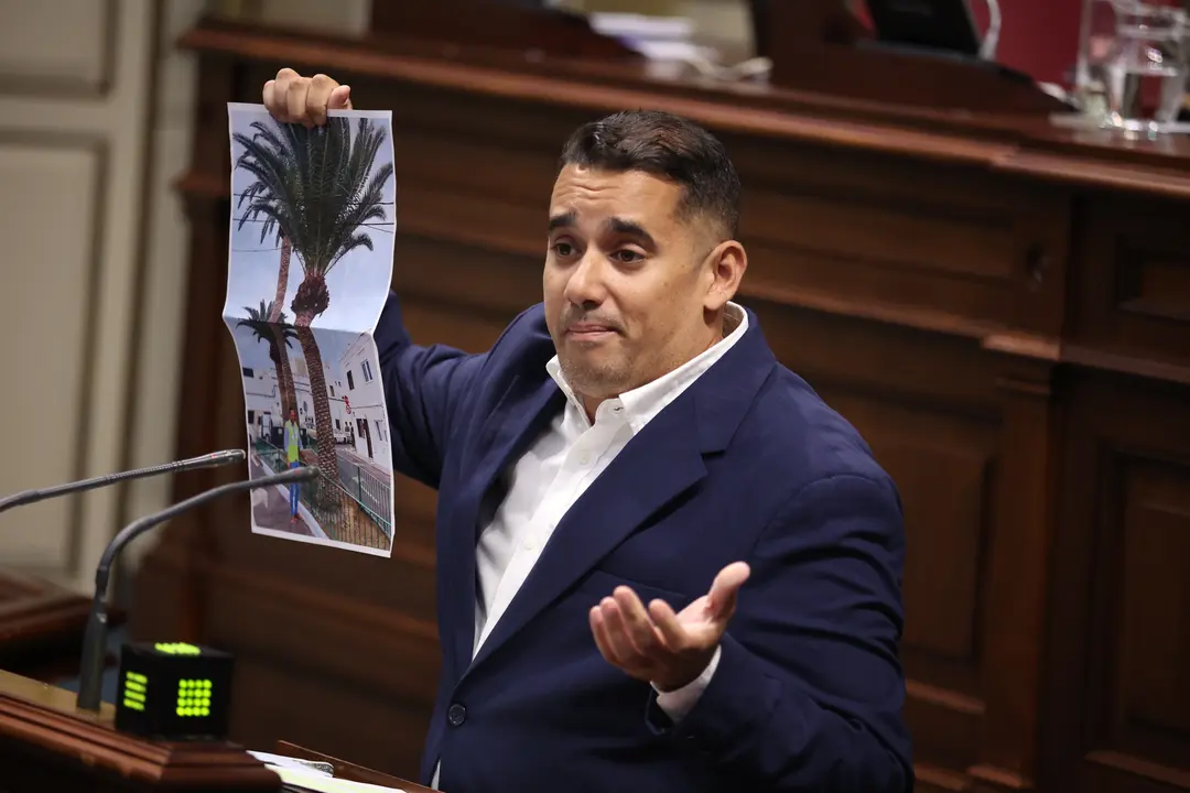Yoné Caraballo en el Parlamento.