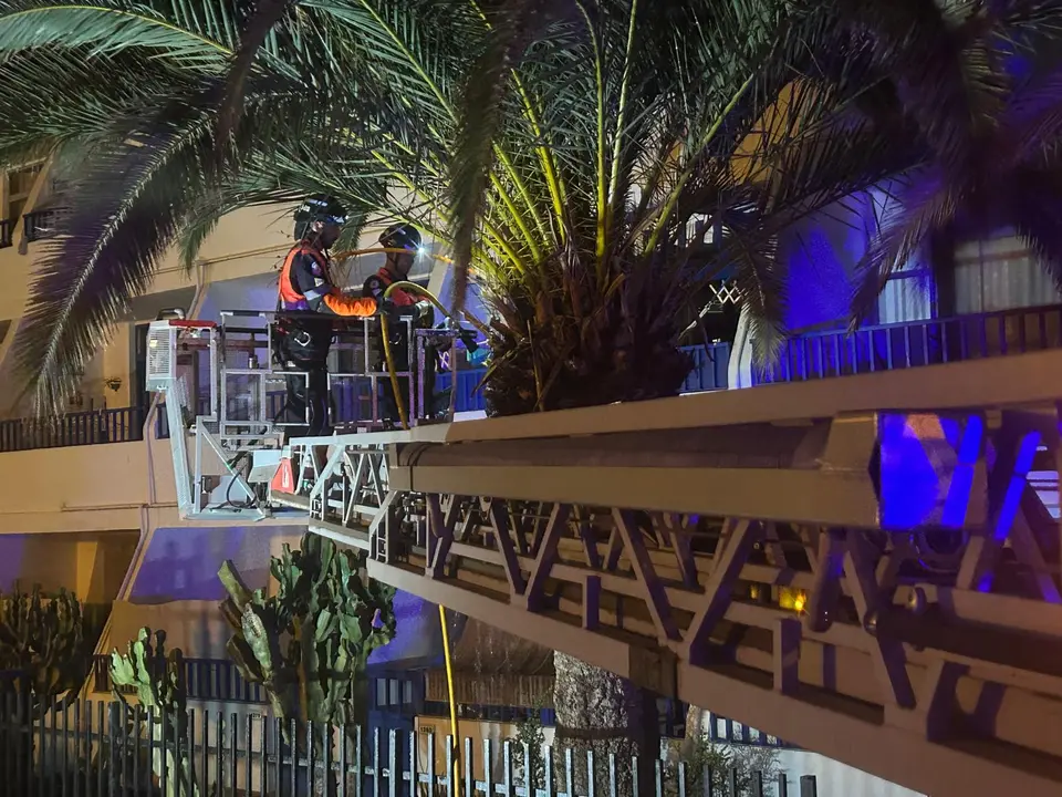 Incendio de una palmera en Puerto del Csrmen.