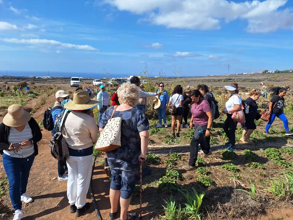 Fundación Líneas Romero y el proyecto Avante, acción Merendero de Tegoyo.