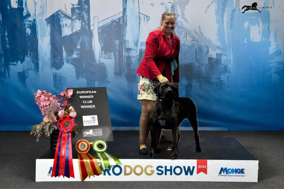 European Dog Show Slovenia 2024.