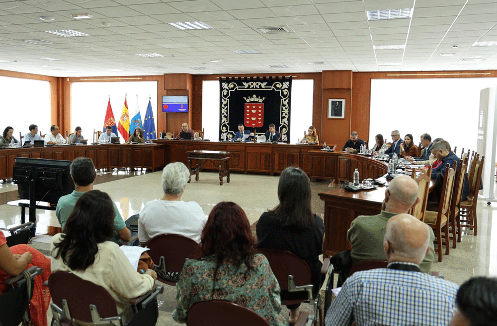 Pleno del Cabildo