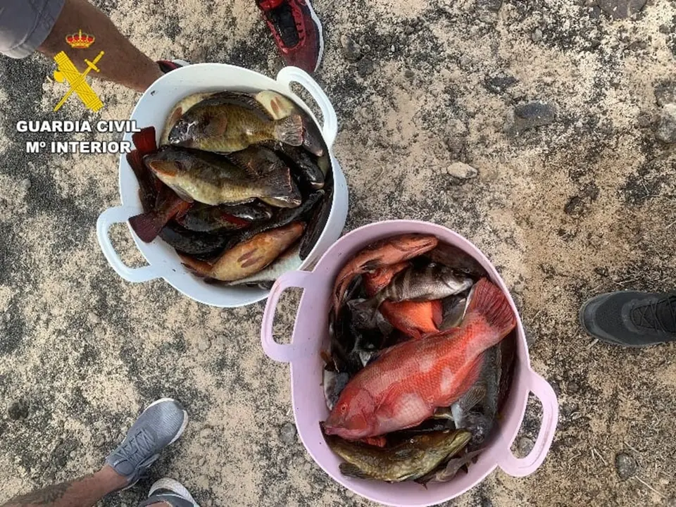 Pesca furtiva