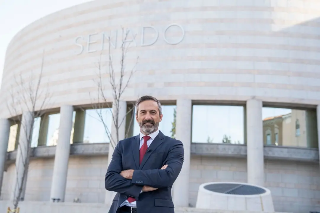 Pedro San Ginés, Senador