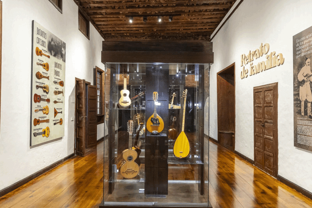 Museo del Timple