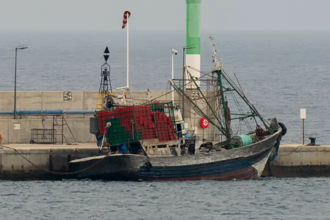 Los catorce tripulantes de un barco pesquero marroquí, uno de ellos menor de edad, han solicitado asilo político tras atracar anoche en el puerto de Arrecife, la capital de Lanzarote. EFE/ Adriel Perdomo