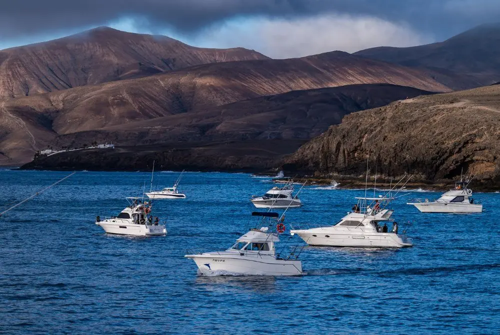 Puerto Calero Marlin Cup