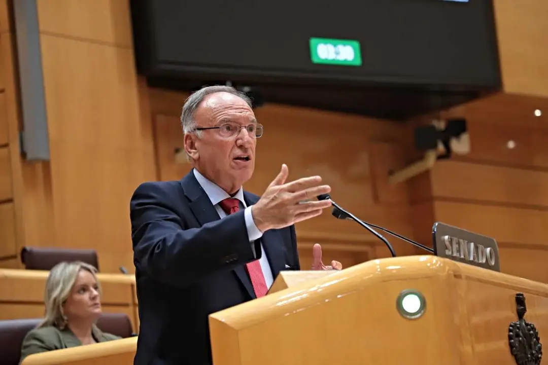 <i>Manuel Fajardo Palarea</i>