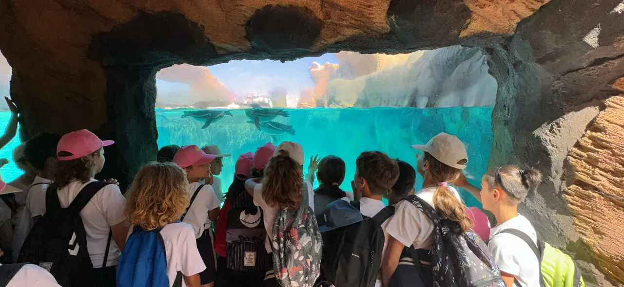 Rancho Texas Park impulsa en Lanzarote el proyecto europeo “Escuelas Azules”