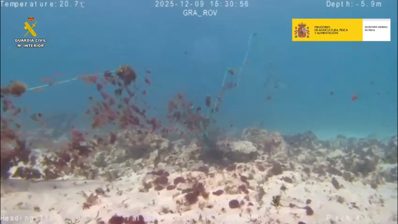 Red de pesca ilegal en Punta Mujeres