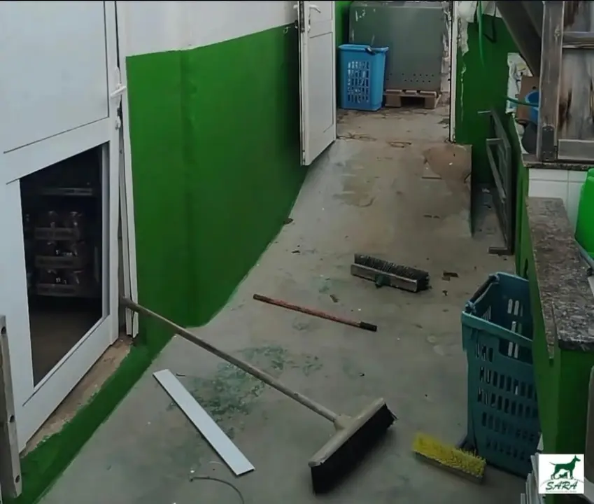 543d7b01-88d2-44de-bcf1-1fda907e3683