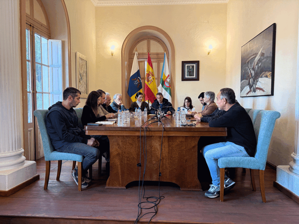 Pleno en Har&iacute;a