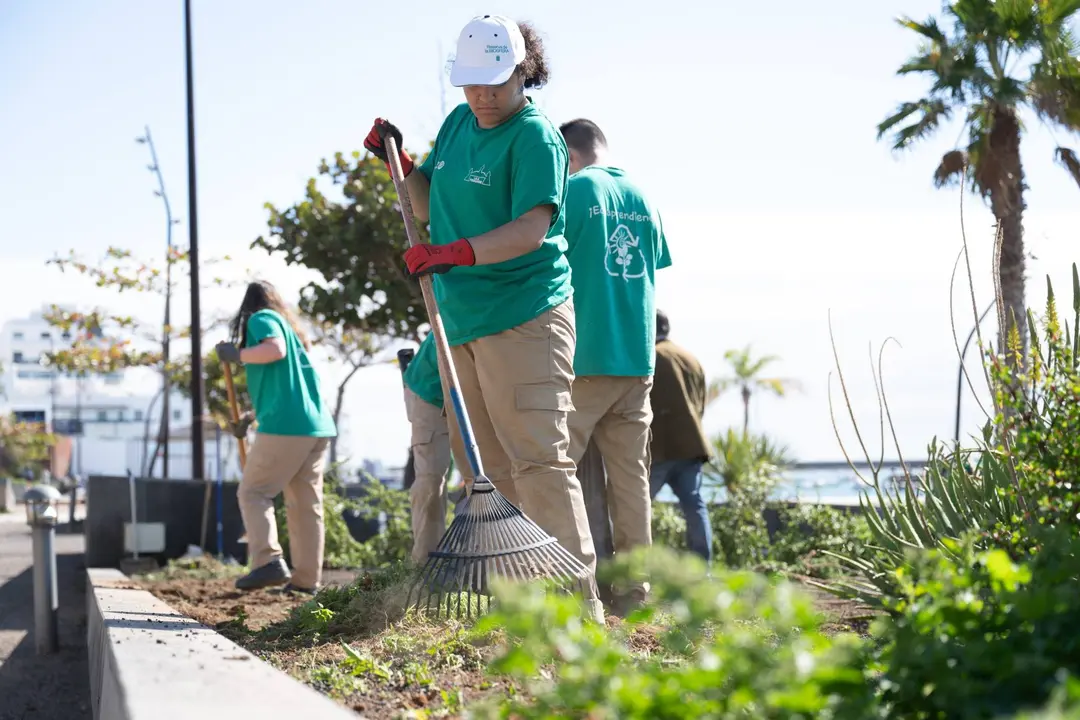 Alumnado de este ciclo formativo del IES de Teguise realizan pr&aacute;cticas en los jardines de Arrecife 1
