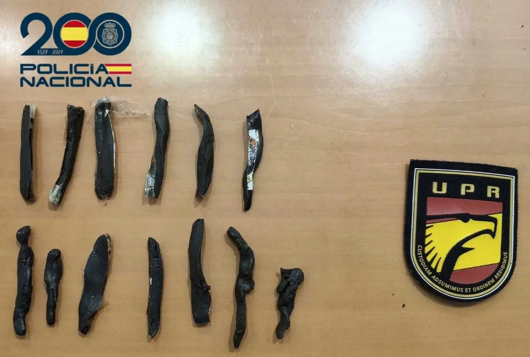 Seguridad Arrecife Carnaval