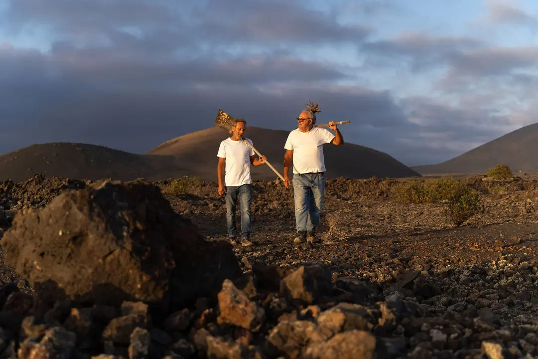Regenerando Lanzarote