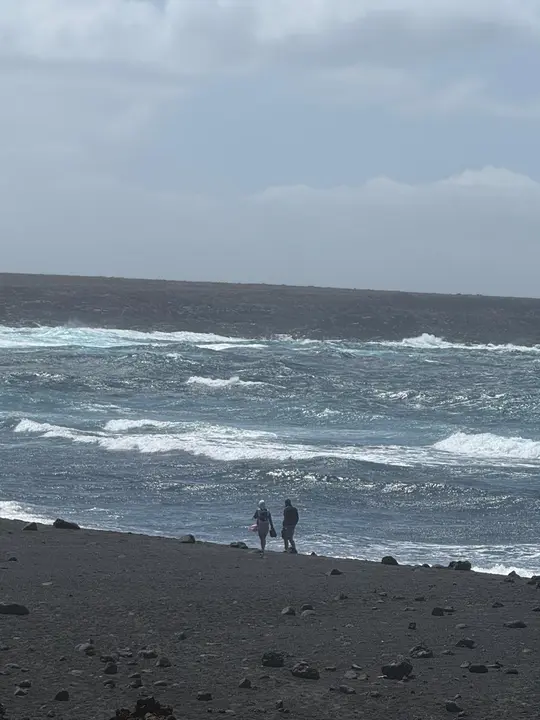 155f5a18-4425-4117-9a53-5d8436202e60