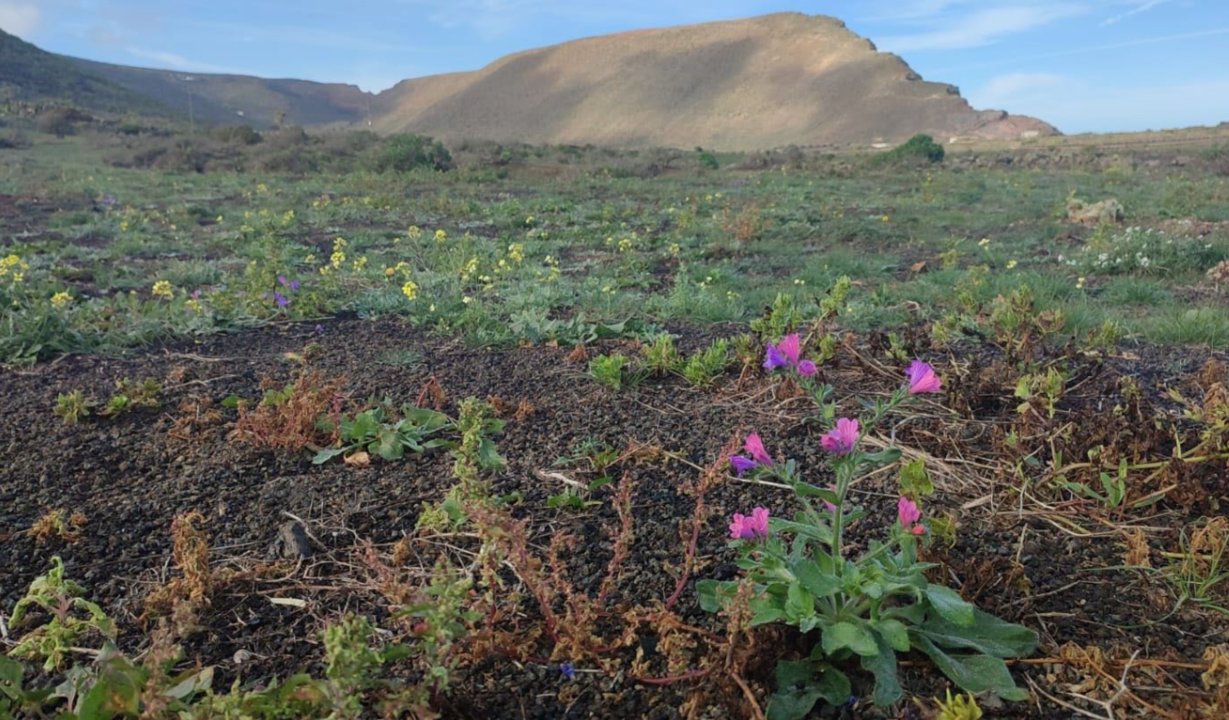 reserva de la biosfera