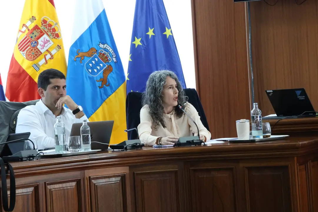 Benjam&iacute;n Perdomo y Ariagona Gonz&aacute;lez (PSOE)