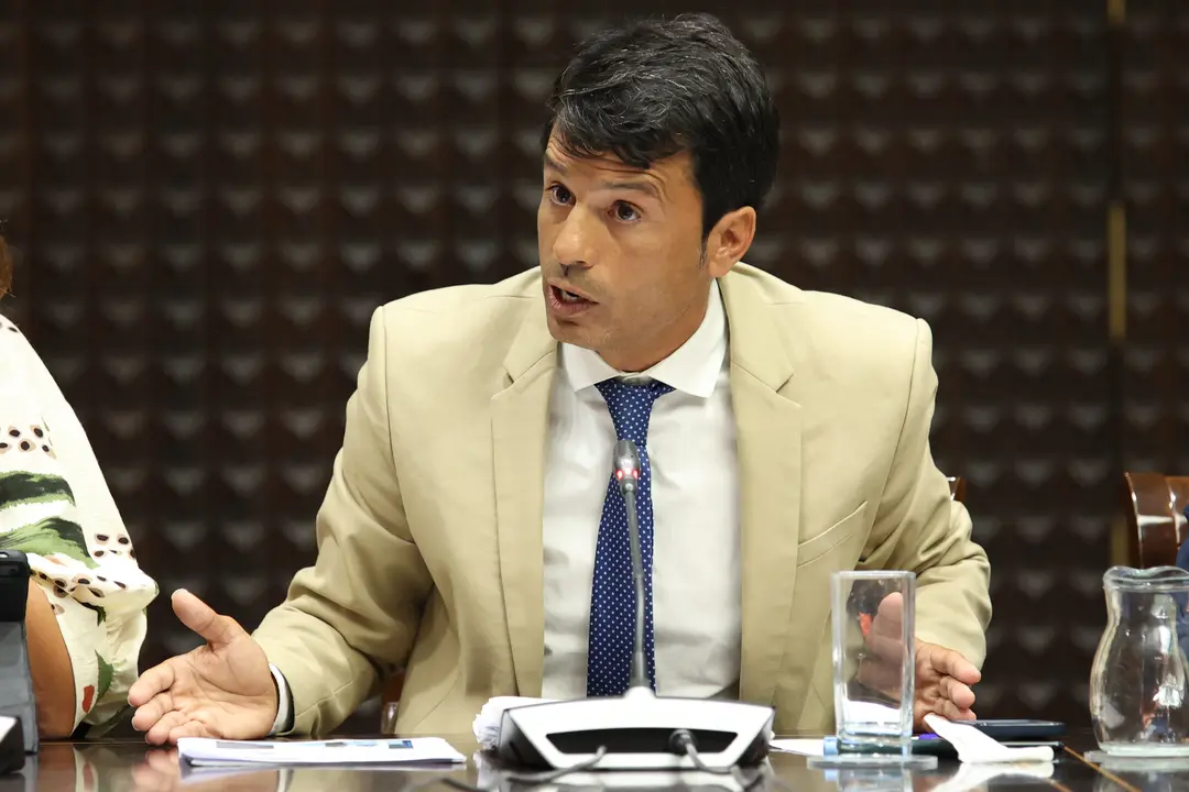 Marcos Bergaz (PSOE) en el parlamento canario 