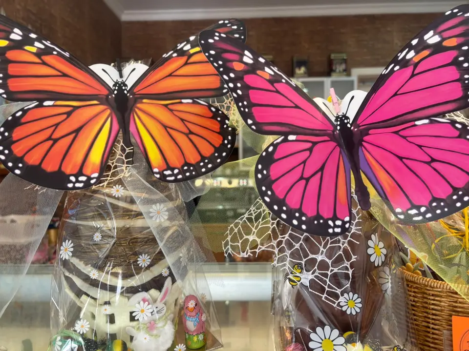 WhatsApp Image 2026-04-06 at 11.37.57 (1)