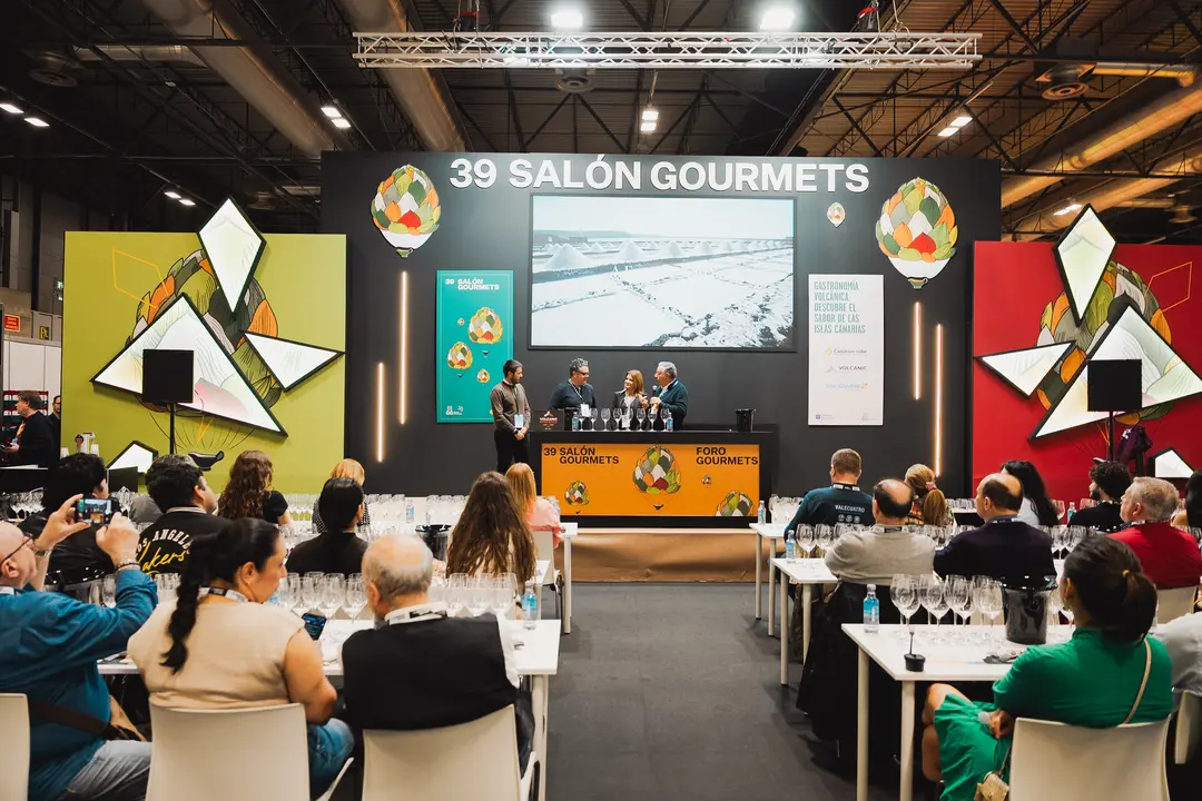 Presentaci&oacute;n proyecto de Gu&iacute;a del Vino