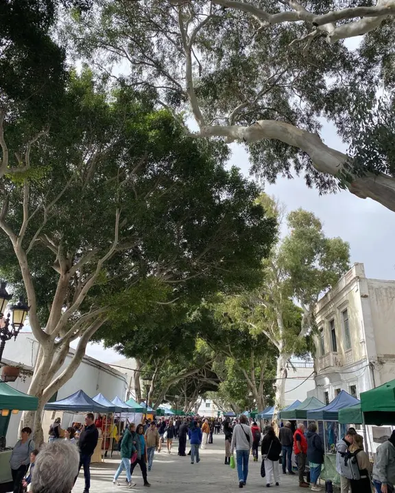 Mercado-Haria-830x1038