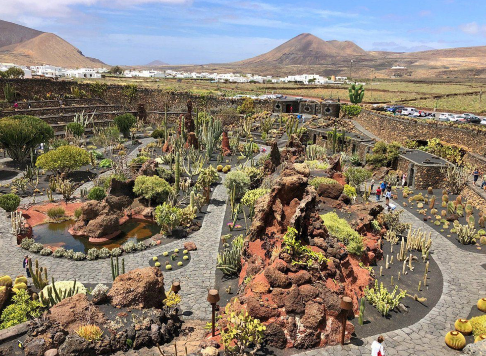 Jard&iacute;n de Cactus