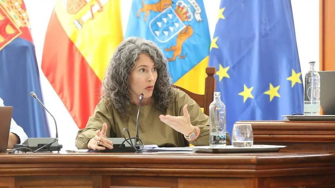 Ariagona Gonz&aacute;lez - pleno de 2024-11-28
