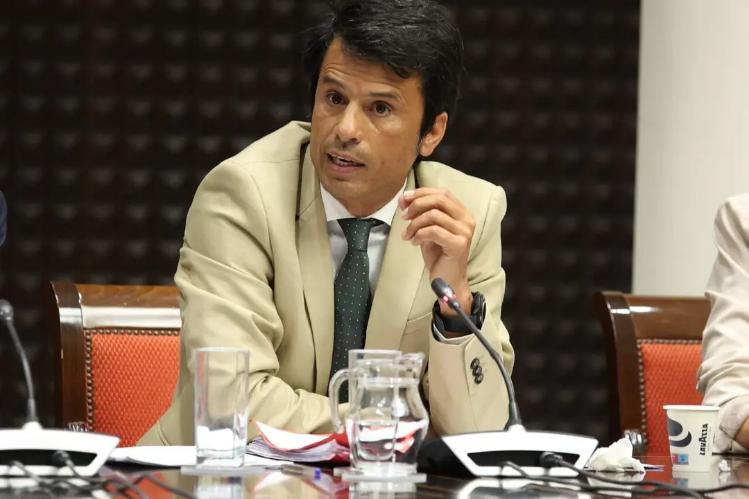 Marcos Bergaz (PSOE) durante su intervenci&oacute;n parlamentaria de hoy