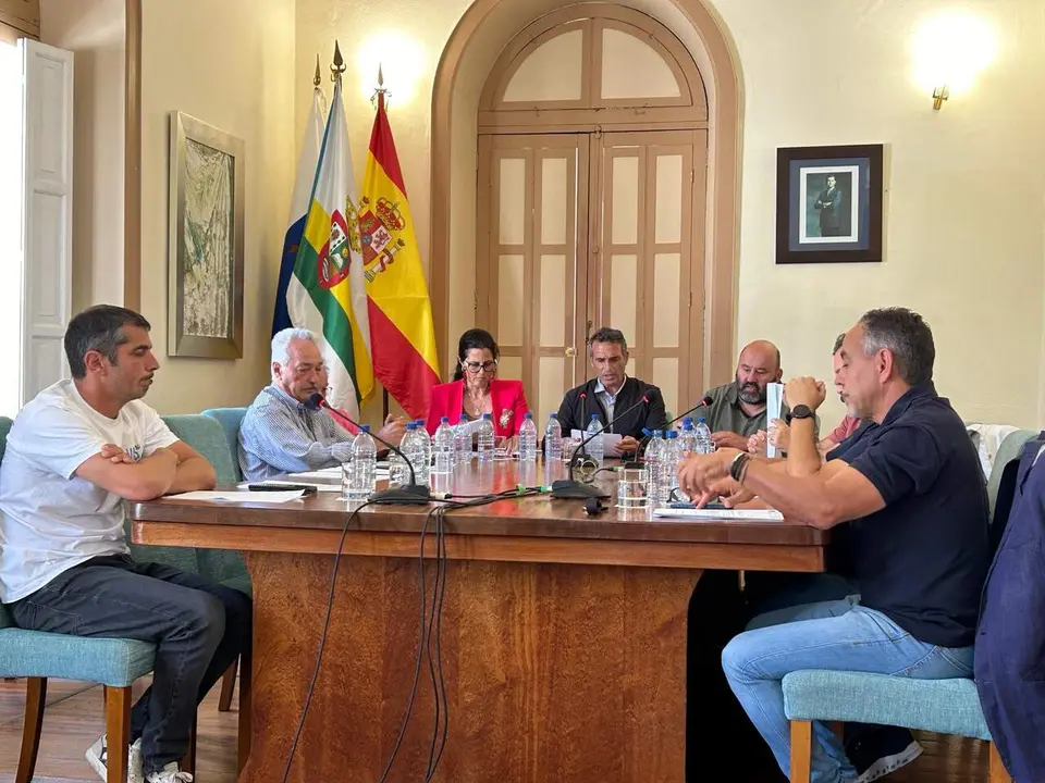 Nombramiento de Juan Jos&eacute; Santana de Le&oacute;n como Hijo Predilecto de Har&iacute;a, sesi&oacute;n plenaria