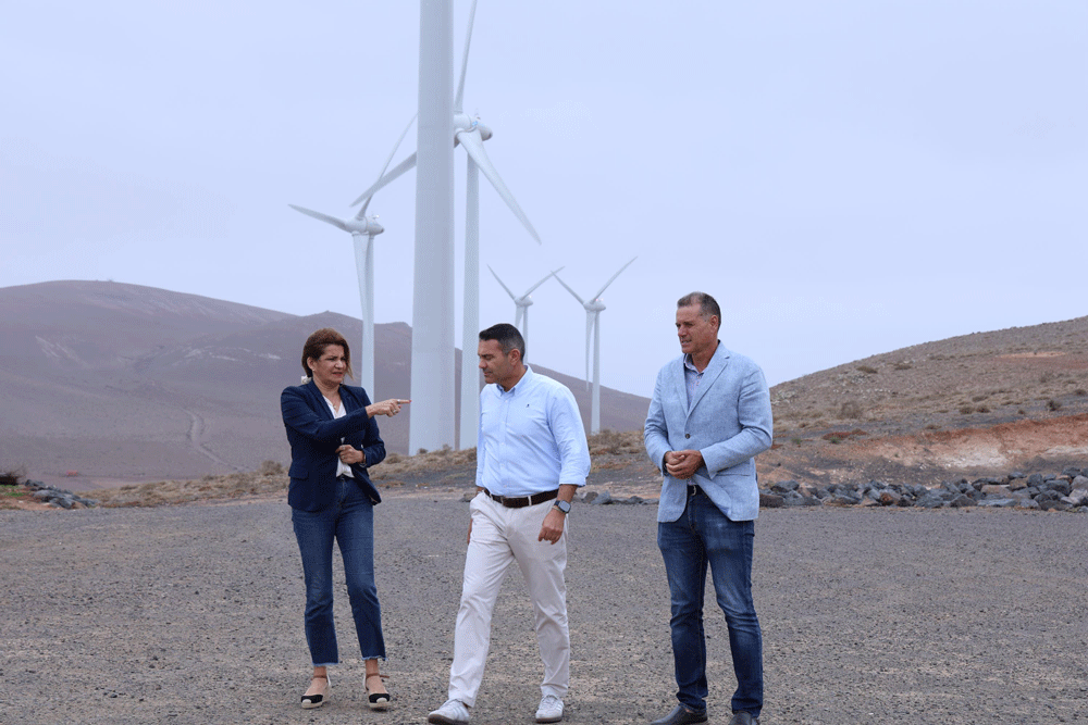 Visita al parque e&oacute;lico de San Bartolom&eacute;