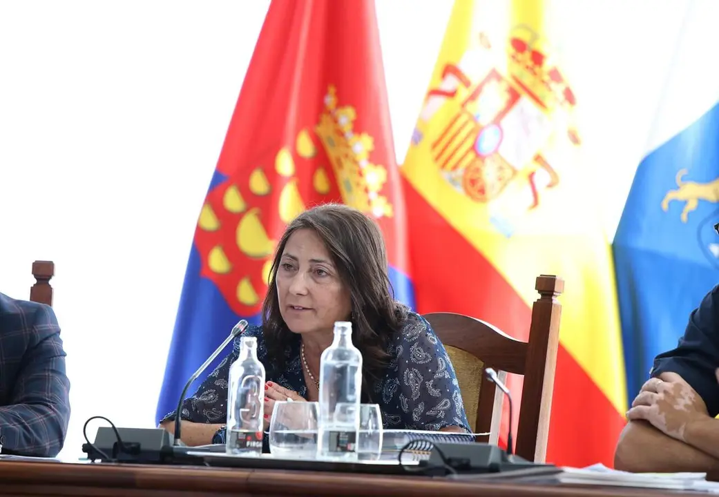 PLENO ORDINARIO CABILDO DE LANZAROTE (90) 