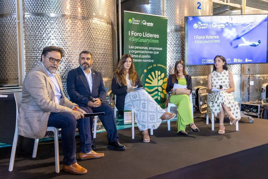 Mesa Redonda