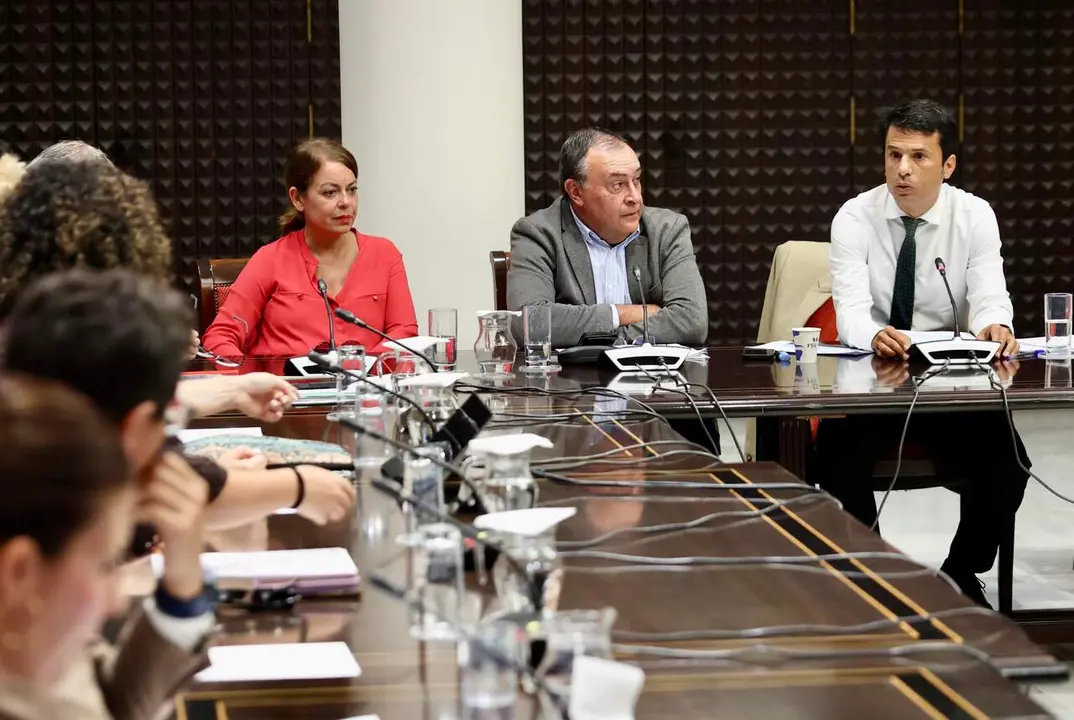 Marcos Bergaz (PSOE) durante una comisión parlamentaria de obras públicas, vivienda y movilidad  (1)