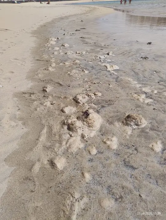 Presencia de los restos fecales este pasado fin de semana donde Sanidad tom&oacute; muestras en la Punta del Camello, junto al aliviadero del Consorcio del Agua de Lanzarote&nbsp;