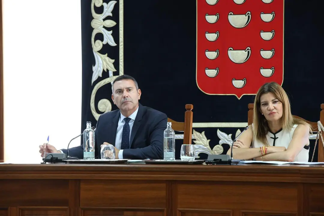PLENO CABILDO DE LANZAROTE  (14)