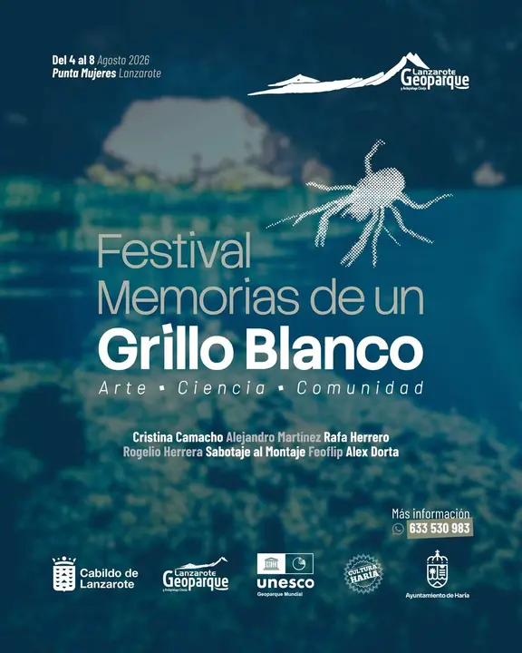 Cartel-Festival (1)