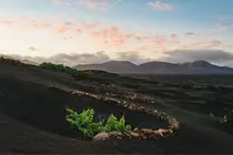 Paisaje de La Geria.