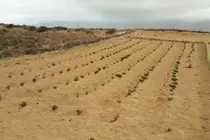 El Jable (Imagen: Archivo)