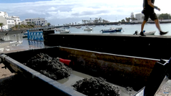 Toallitas en el Charco