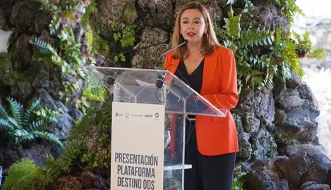 María Dolores Corujo, presidenta del Cabildo de Lanzarote