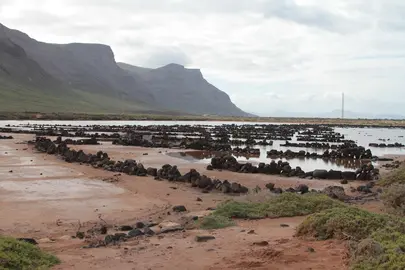 Día Mundial del Medio Ambiente