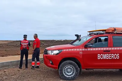 Dispositivo de búsqueda