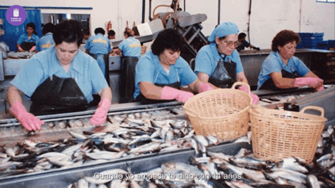 Mujeres en una fábrica conservera