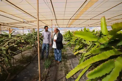 Centro de Conservación de la Biodiversidad de Lanzarote